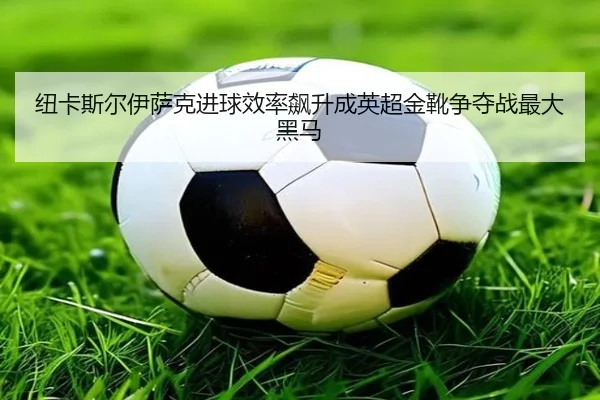 纽卡斯尔伊萨克进球效率飙升成英超金靴争夺战最大黑马